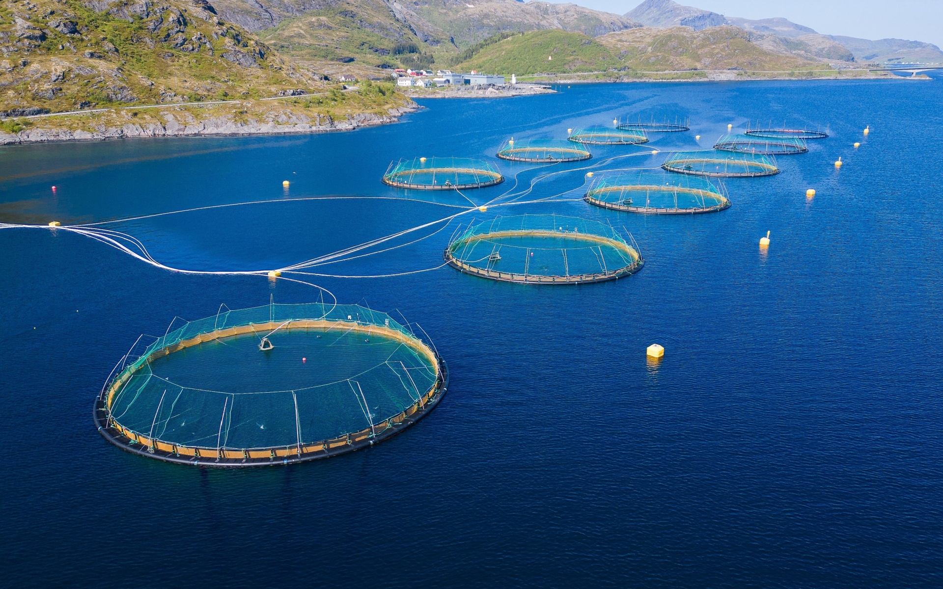 Norsk lakseoppdrett i fjorden